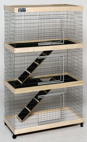 Bunny condo hotsell